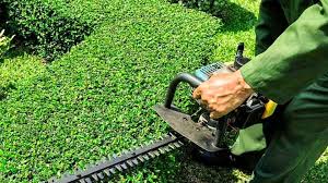 Finding The Best Out Of Landscaping Services
